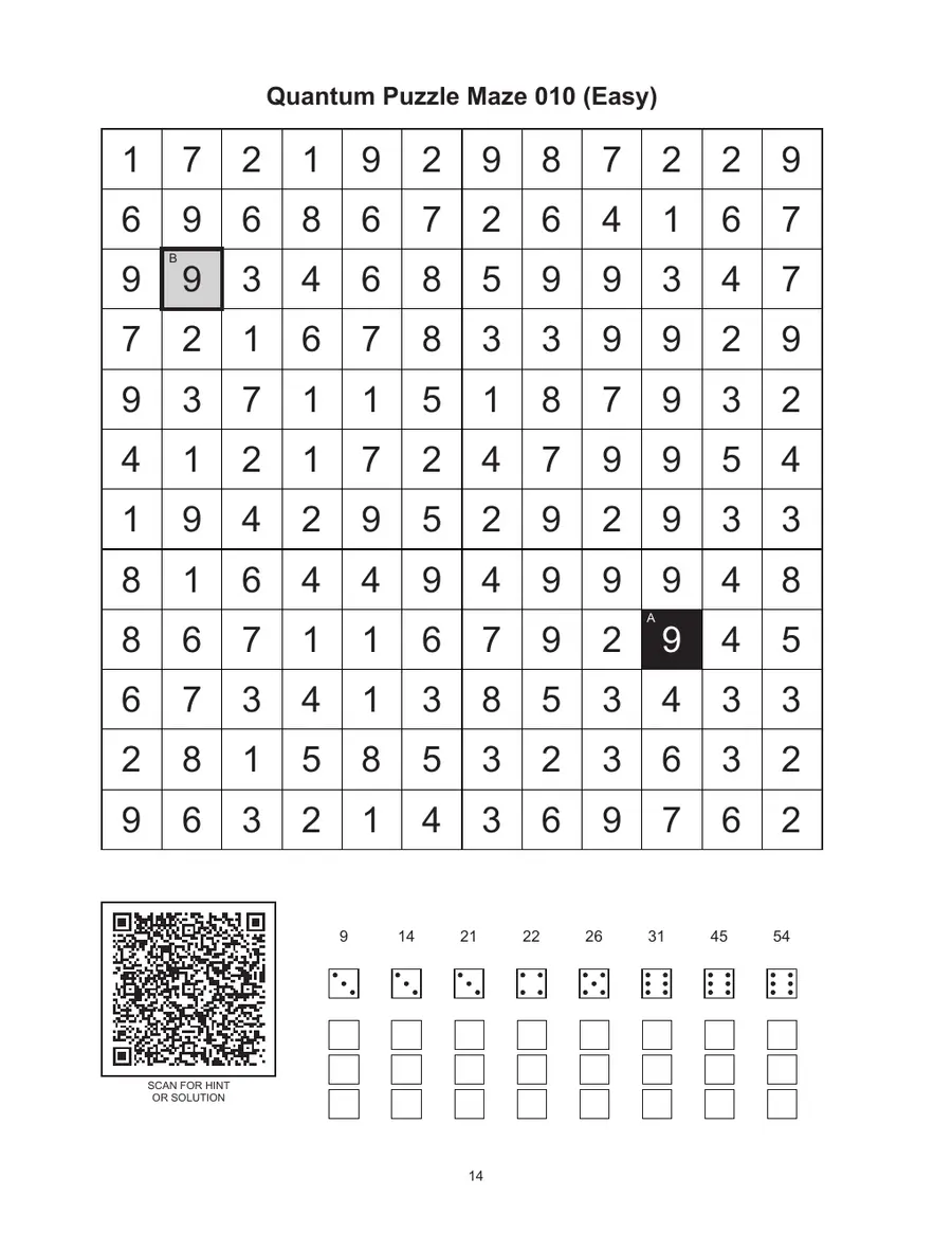 Quantum Puzzle Maze 010 sample puzzle page